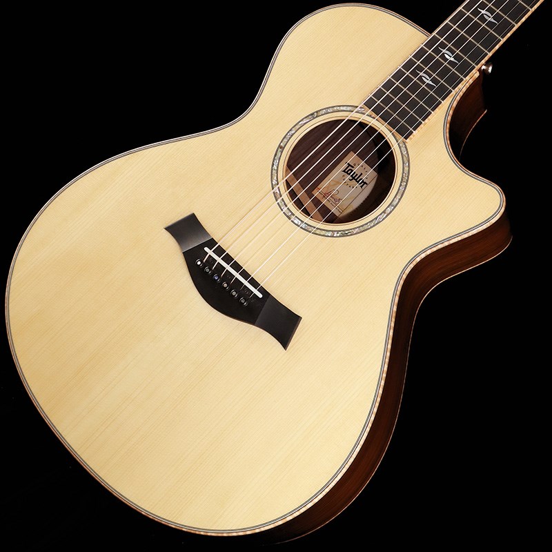 TAYLOR CTM GCce Adirondack Spruce/Indian Rosewood 19の画像